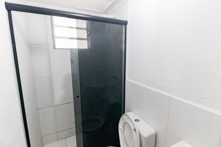 Banheiro de apartamento para alugar com 2 quartos, 47m² em Parque Munhoz, São Paulo