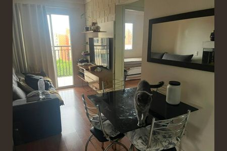 Apartamento para alugar com 2 quartos, 59m² em Jardim Parque Morumbi, São Paulo