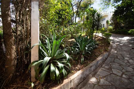 Casa à venda com 580m², 6 quartos e 3 vagas Casa à venda com 580m², 6 quartos e 3 vagasQuintal
