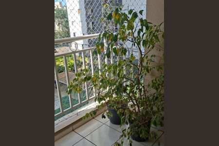 Apartamento à venda com 76m², 3 quartos e sem vagaFoto 09