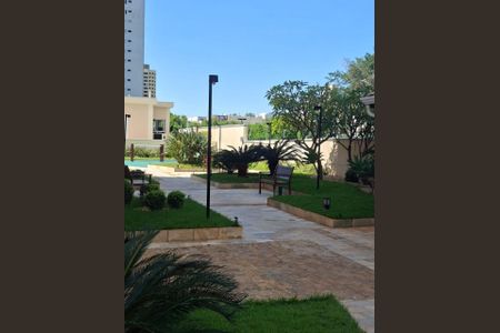 Foto 39 de apartamento à venda com 3 quartos, 76m² em Mansões Santo Antônio, Campinas