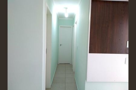 Apartamento à venda com 3 quartos, 62m² em Jardim Anton von Zuben, Campinas