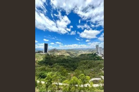 Apartamento à venda com 4 quartos, 198m² em Piemonte, Belo Horizonte