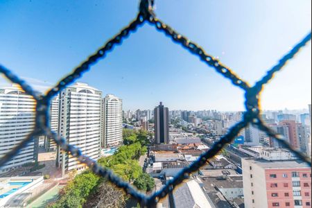 Apartamento à venda com 198m², 4 quartos e 3 vagasVista da Varanda da Sala