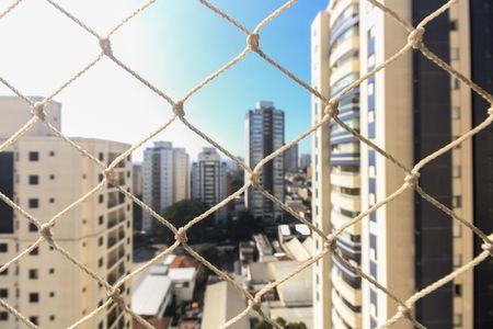 Varanda - Vista  de apartamento para alugar com 3 quartos, 89m² em Vila Gomes Cardim, São Paulo