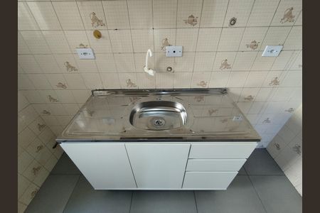 Apartamento para alugar com 61m², 2 quartos e 1 vagaCozinha - Torneira