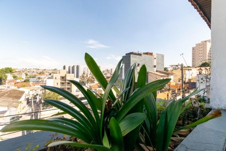 Vista da Suíte de casa à venda com 3 quartos, 165m² em Vila Santa Catarina, São Paulo