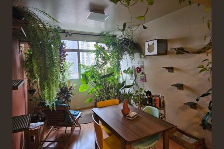Sala de apartamento para alugar com 3 quartos, 80m² em Pinheiros, São Paulo