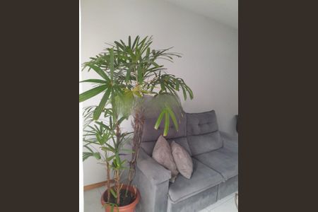Sala de casa de condomínio para alugar com 2 quartos, 40m² em Restinga, Porto Alegre