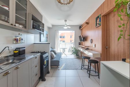 Cozinha - Lavanderia Integrada de apartamento para alugar com 1 quarto, 30m² em Jardim Caravelas, São Paulo