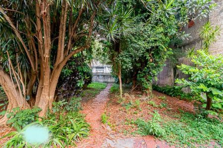 Casa à venda com 5 quartos, 540m² em Cambuci, São Paulo