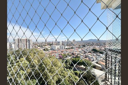 Vista de apartamento para alugar com 2 quartos, 80m² em Moinho Velho, São Paulo