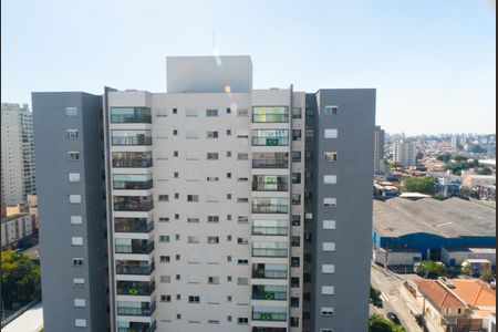 Vista da Suite de apartamento à venda com 3 quartos, 81m² em Vila Santa Catarina, São Paulo