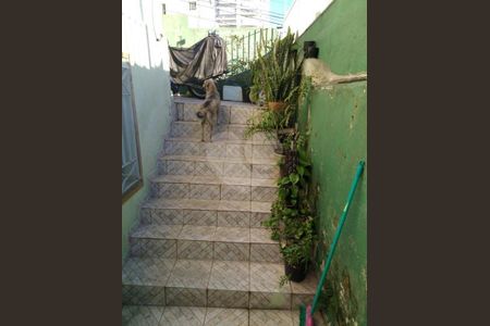 Casa à venda com 3 quartos, 166m² em Mandaqui, São Paulo