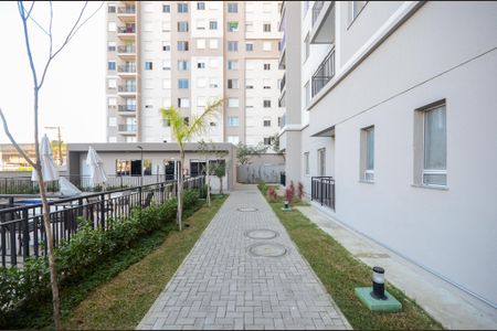 Área comum de apartamento para alugar com 2 quartos, 40m² em Vila Pirituba, São Paulo