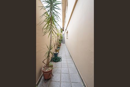 Corredor de casa à venda com 3 quartos, 162m² em Parque Bristol, São Paulo