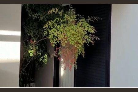 Casa à venda com 900m², 6 quartos e 8 vagas