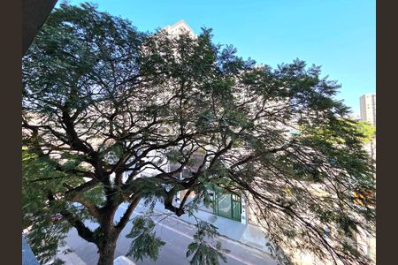 Vista de kitnet/studio para alugar com 1 quarto, 24m² em Indianópolis, São Paulo
