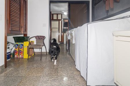 Apartamento para alugar com 237m², 4 quartos e 4 vagas Apartamento para alugar com 237m², 4 quartos e 4 vagasÁrea de Serviço