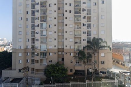 Apartamento para alugar com 53m², 3 quartos e 1 vaga Apartamento para alugar com 53m², 3 quartos e 1 vagaVista do Quarto 2 Closet