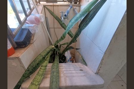 Apartamento para alugar com 57m², 2 quartos e sem vaga Apartamento para alugar com 57m², 2 quartos e sem vagaÁrea de Serviço