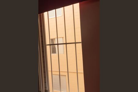 Vista do Quarto 2 de apartamento para alugar com 2 quartos, 50m² em Vila Padre Manoel de Nobrega, Campinas