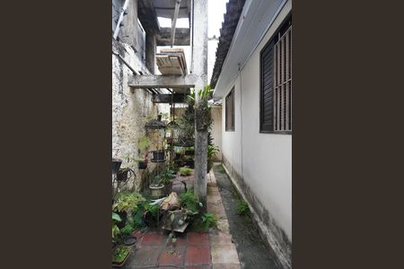 Área comum de casa para alugar com 2 quartos, 60m² em Itaquera, São Paulo
