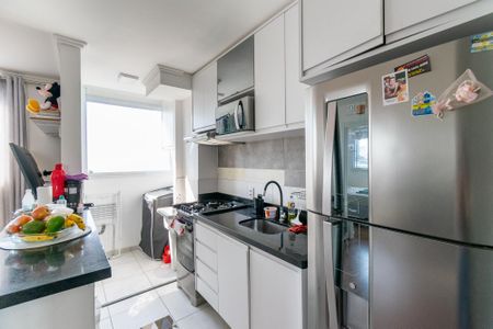 Cozinha de apartamento para alugar com 2 quartos, 40m² em Vila Santa Catarina, São Paulo