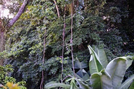 Área Verde de apartamento à venda com 2 quartos, 68m² em Copacabana, Rio de Janeiro