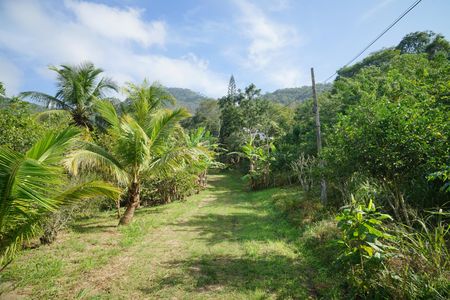 Quintal de casa para alugar com 3 quartos, 49710m² em São José de Imbassai, Maricá