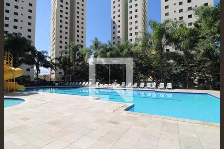 Área comum - Piscina de apartamento para alugar com 3 quartos, 65m² em Jardim das Flores, São Paulo