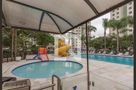Área comum - Piscina de apartamento para alugar com 3 quartos, 65m² em Jardim das Flores, São Paulo