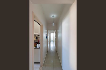 Corredor de apartamento para alugar com 2 quartos, 67m² em São Bernardo, Campinas