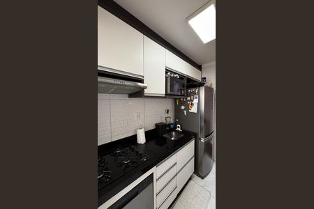 Cozinha de apartamento à venda com 2 quartos, 48m² em Parque Jaçatuba, Santo André