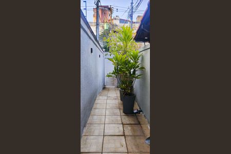 Quintal de kitnet/studio para alugar com 2 quartos, 50m² em Sagrada Família, Belo Horizonte