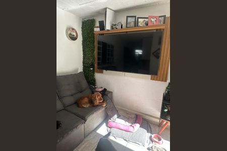 Kitnet/Studio para alugar com 2 quartos, 50m² em Sagrada Família, Belo Horizonte