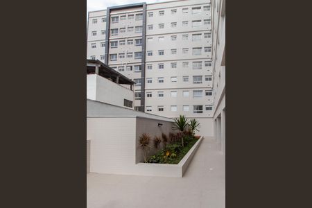 Área comum de apartamento para alugar com 2 quartos, 35m² em Vila Mazzei, São Paulo