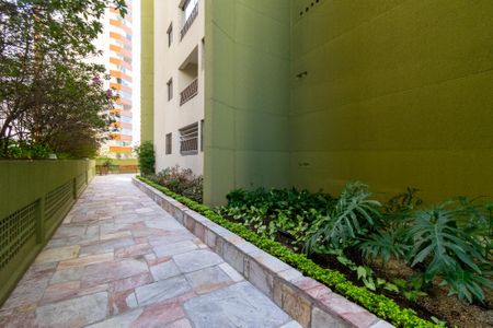 Área comum de apartamento para alugar com 2 quartos, 55m² em Vila Mascote, São Paulo