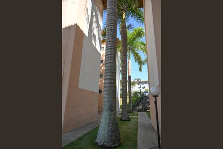Apartamento à venda com 66m², 2 quartos e 1 vaga Apartamento à venda com 66m², 2 quartos e 1 vagavista do acesso aos blocos