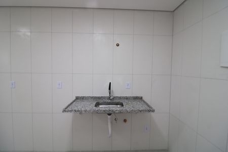 Cozinha de apartamento para alugar com 2 quartos, 35m² em Vila Prudente, São Paulo