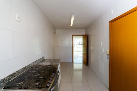 Cozinha de apartamento para alugar com 4 quartos, 160m² em Lourdes, Belo Horizonte