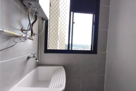 Área de Serviço de apartamento para alugar com 2 quartos, 47m² em Residencial Parque da Fazenda, Campinas
