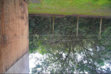 Apartamento para alugar com 57m², 2 quartos e 1 vagaVista da Sala