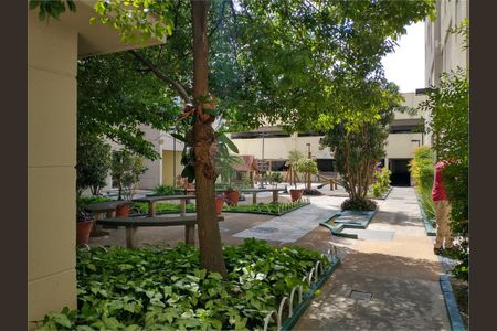 Apartamento à venda com 2 quartos, 65m² em Cambuci, São Paulo