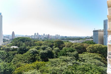 Vista de apartamento para alugar com 2 quartos, 35m² em Várzea da Barra Funda, São Paulo