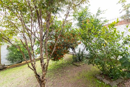 Casa à venda com 360m², 3 quartos e 2 vagasQuintal