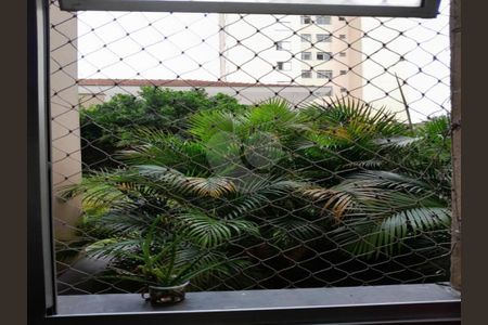 Apartamento à venda com 3 quartos, 59m² em Parque Jabaquara, São Paulo