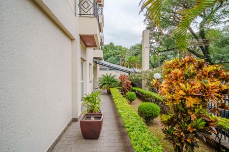 Área comum  de apartamento para alugar com 2 quartos, 46m² em Jaguaré, São Paulo