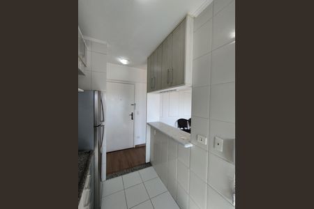 Cozinha - Armários de apartamento para alugar com 1 quarto, 46m² em Vila das Merces, São Paulo
