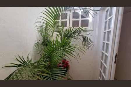 Jardim de inverno de casa para alugar com 3 quartos, 106m² em Parque Sao Jose, São Paulo